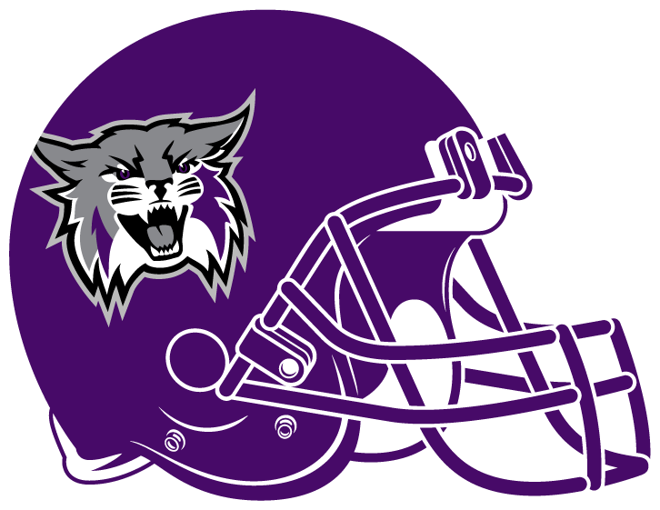 Weber State Wildcats 2012-Pres Helmet iron on transfers for T-shirts